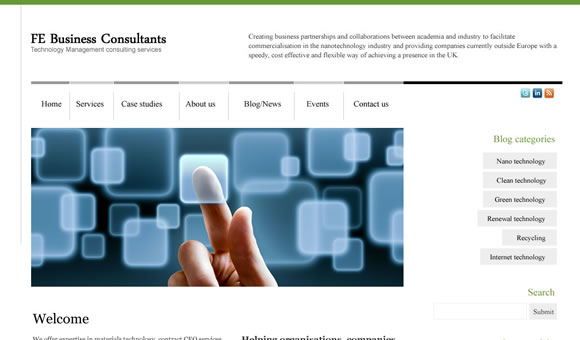 Business consultants